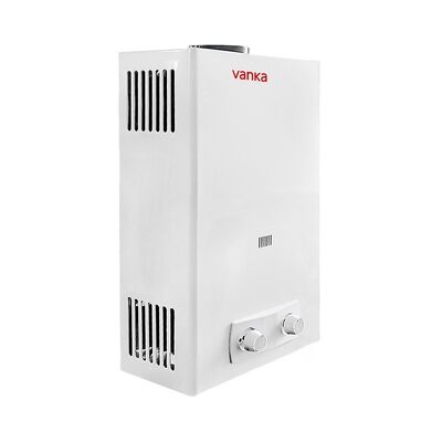 Pabrik Direct Supply 10L Flue Type Instant Gas Water Heater Grosir Penggunaan Rumah